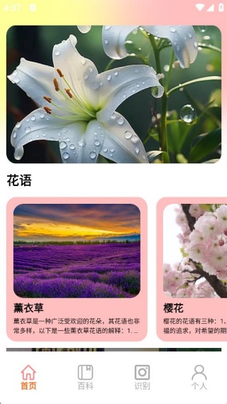 �Ҹ�����pro