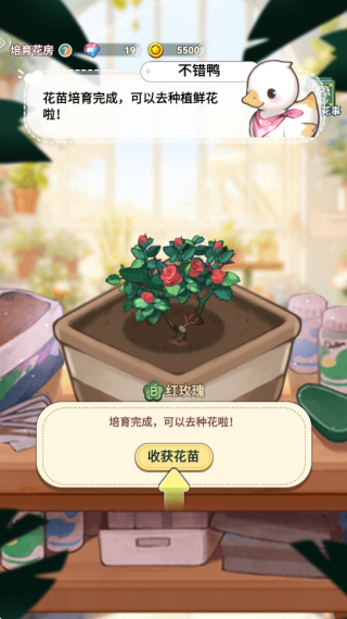 花札物语游戏下载 花札物语游戏下载