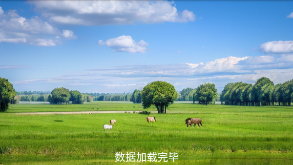 ���Ա�TV�ֻ�������