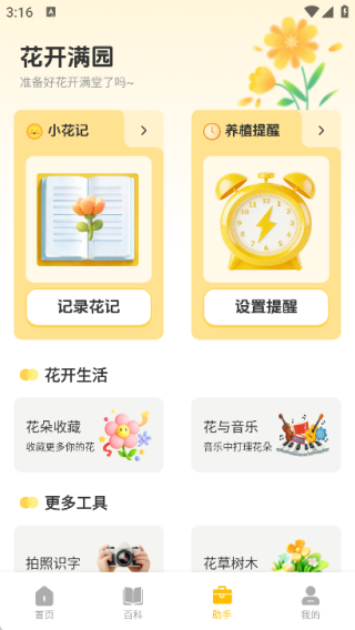 �ʻ�����԰���°�����