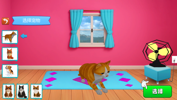 ����֮����һֻè�ֻ�������