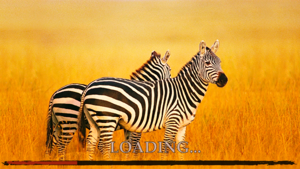 ����ģ������The Zebra����Ѱ�����