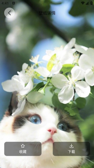 ��è�ɶԱ�ֽ