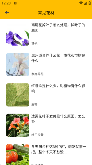 ��������app����