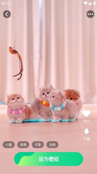 �����ֽ�������°�����