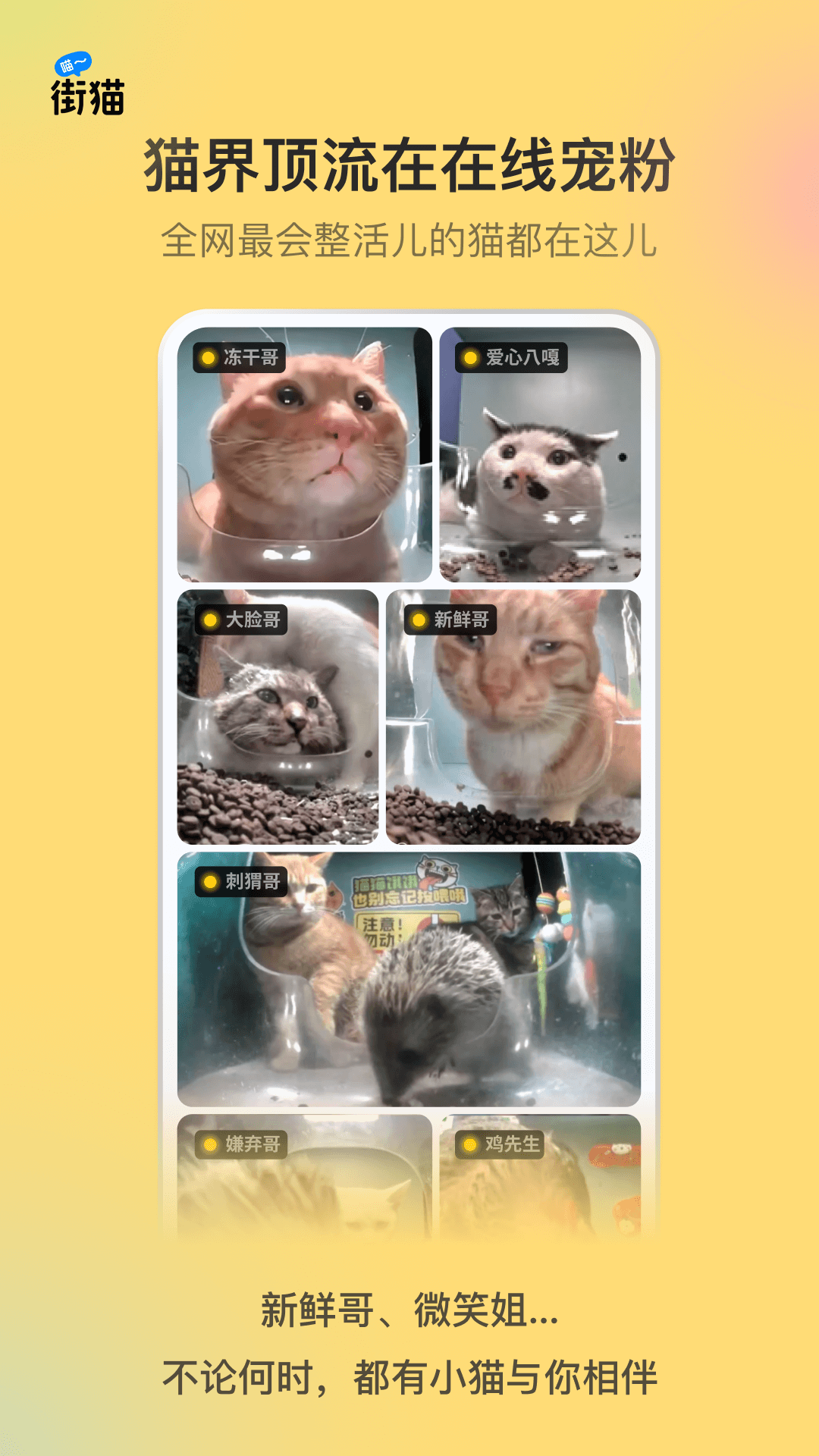 ��è���°汾2025����v3.2.5 ��׿��