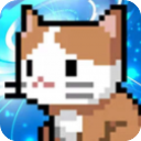 �������������ֻ���v1.1.53 �ٷ�����