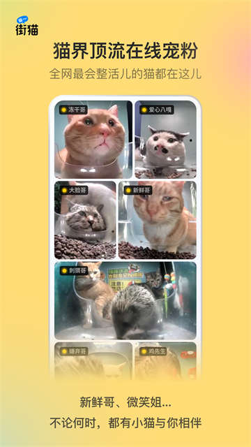 ������è���°�2025����v3.3.0 ��׿��