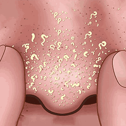 清理达人游戏下载v1.0.1 安卓版