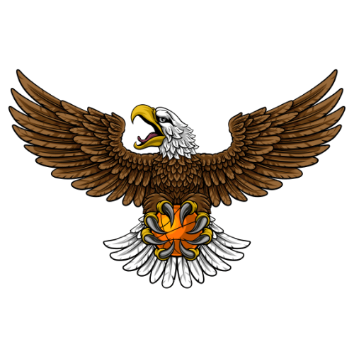 飞鹰TV下载最新版v8.7 安卓版