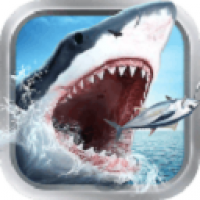 ȫ����㵥������������ʯ��v8.5.5 ��׿��