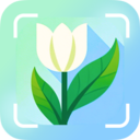 ��ɫʶ��ʶ����������v1.0.0 ��׿��