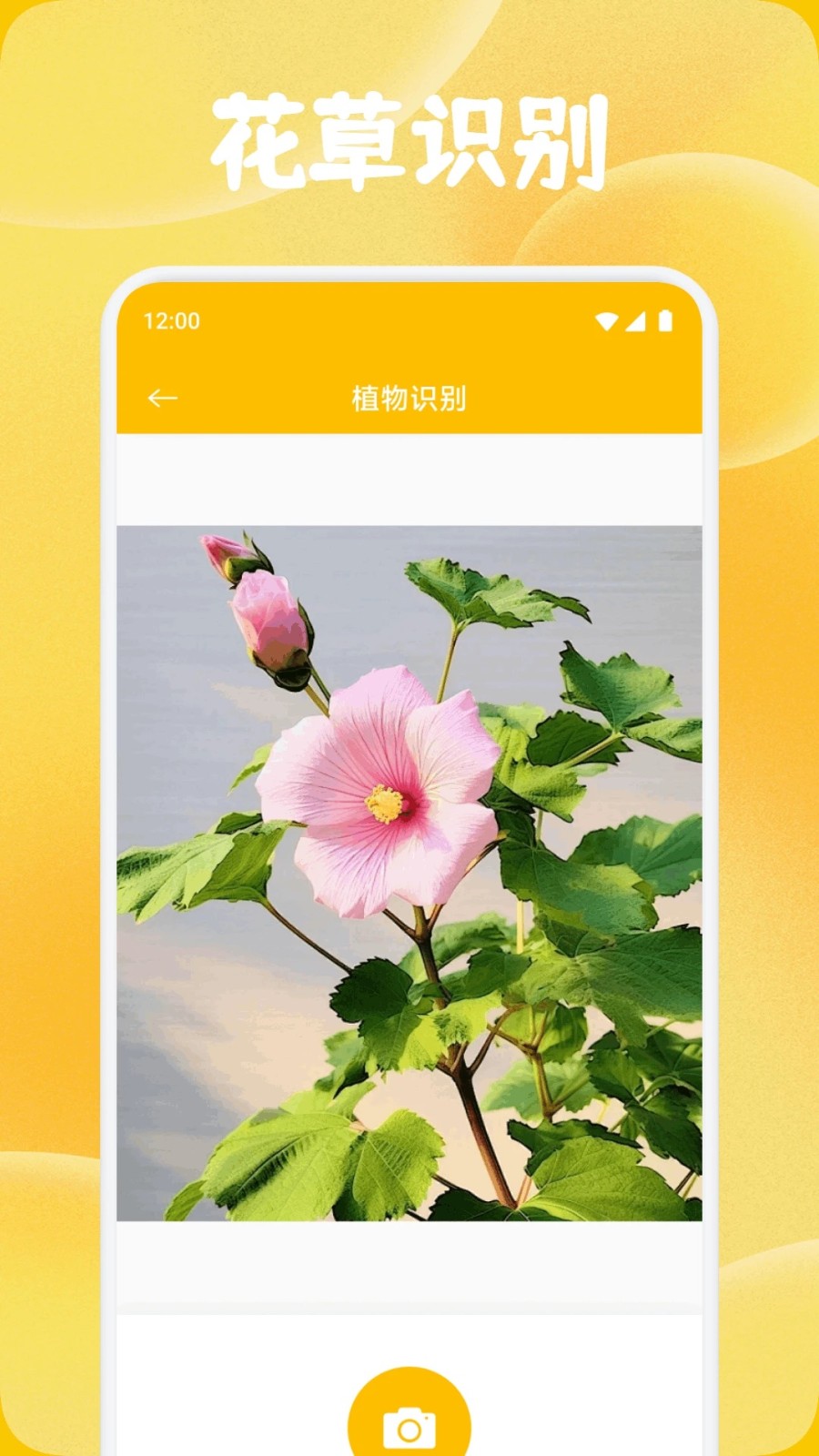 ��������app����v1.1 ��׿��