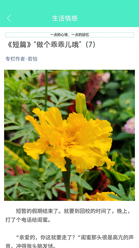 ���������������Ѱ�v5.0.1 �ֻ���