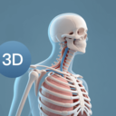 3dbody�������ѧ��������v1.0.0 ��׿��