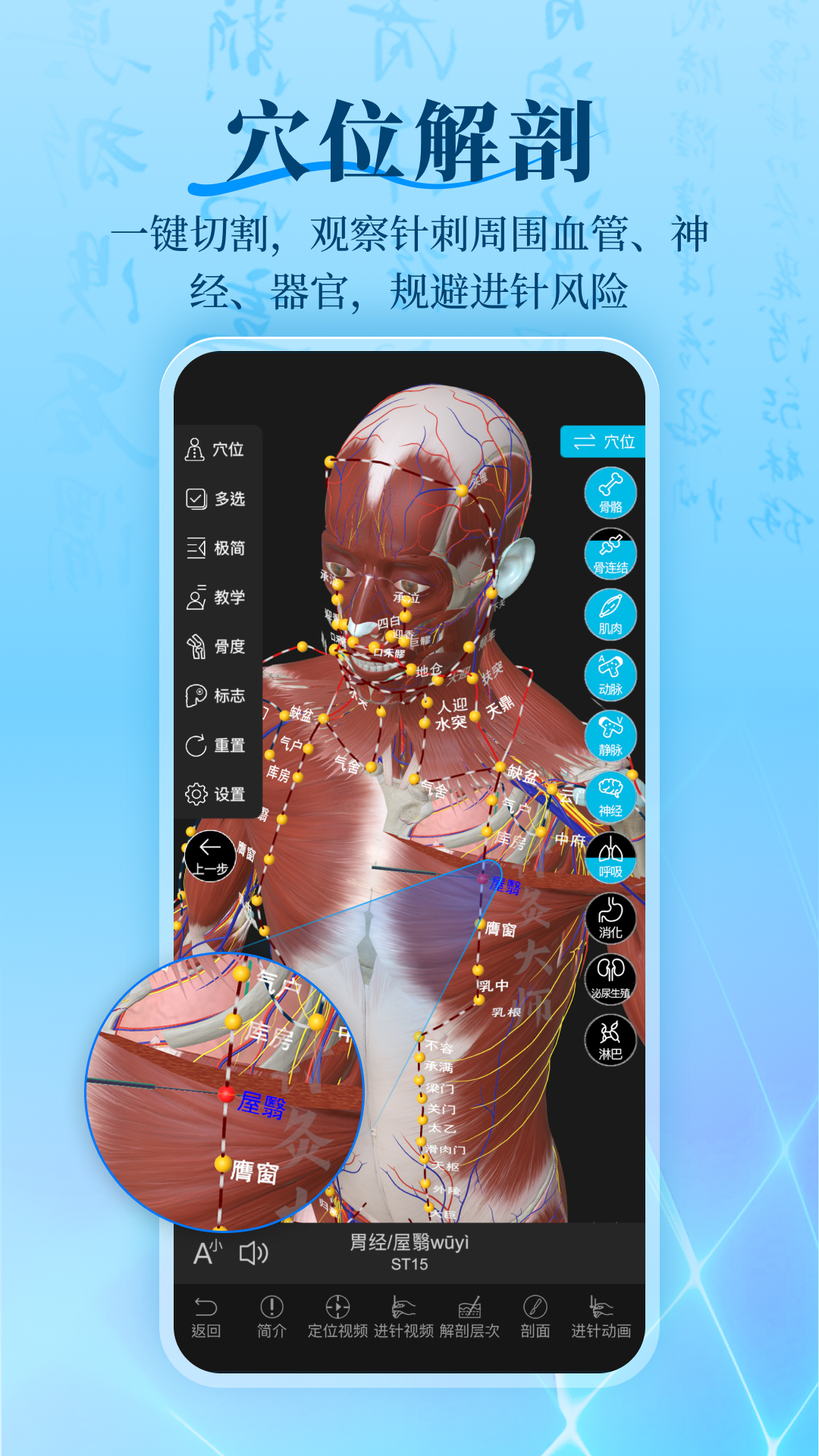 ��Ĵ�ʦ���������ֻ���v3.4.9 �ٷ�����