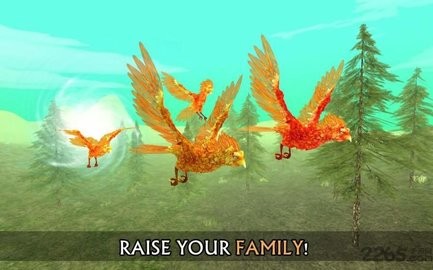 Phoenix Simİ