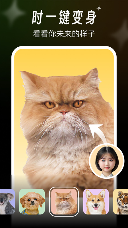 app°汾v1.5.5
