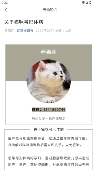 peppy cat׿汾