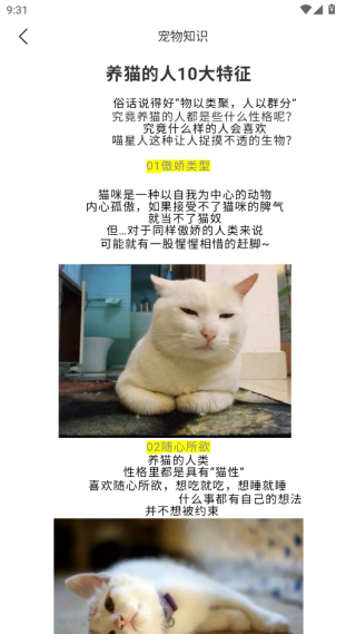 peppy cat׿汾