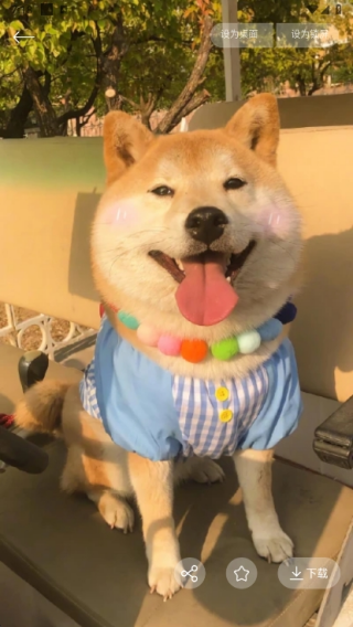 ݱֽapp׿
