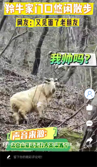 һͨappٷ