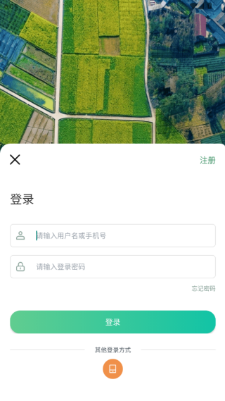 ĴﳤѲappٷ