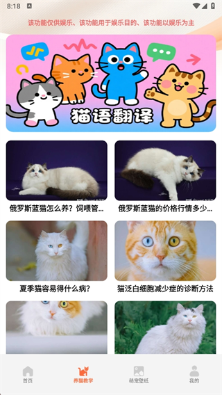 fattycat°