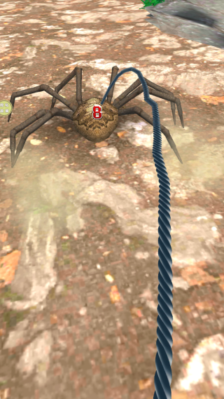 ǹʱֻ
