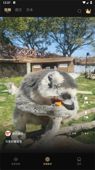 ߶زĴʦ°