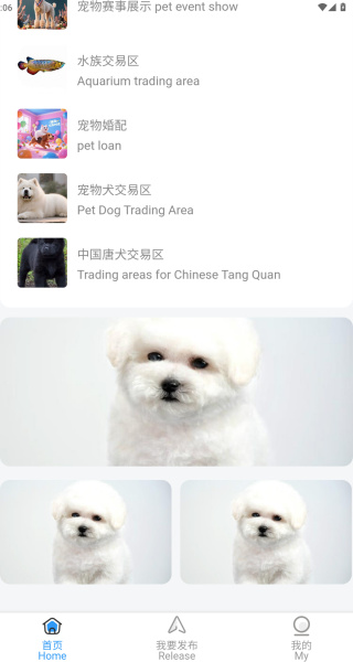 Ƿapp