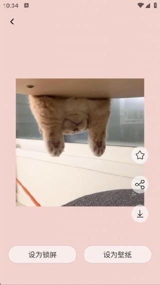 ֽapp