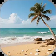 v1.1 ׿