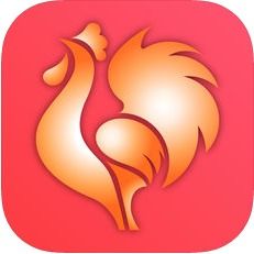 大公鸡排列5安卓版下载安装v1.0.6 最新版