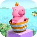 Ƥֻv1.0.1 ׿