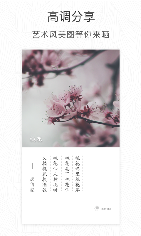 ɫʶ𻨲ֲر°v3.14.24 