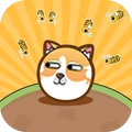 Ի·׿v13.0.0 ֻ