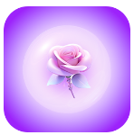 ֪appv1.0.0 ׿