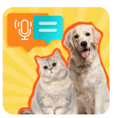è׼appv1.0.4 ׿