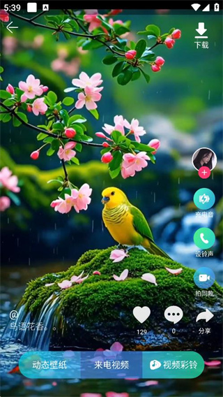 ֻȫ