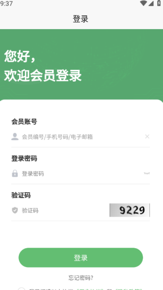 ֮ʥӽ绷°