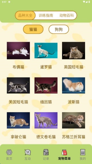 è˽app