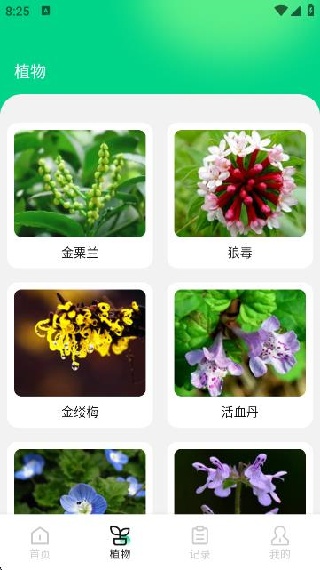 ʶapp