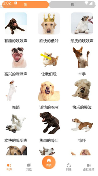 è