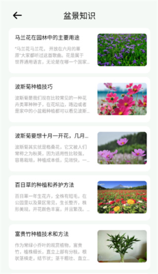 ǻʶapp