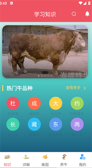 ְţ׬Ǯapp