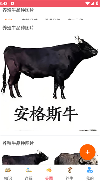 ְţ׬Ǯapp