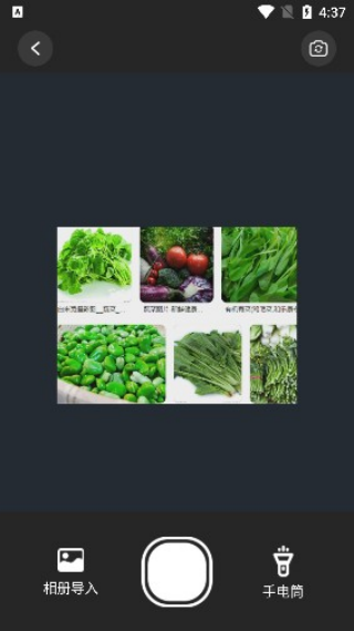 Чɨapp