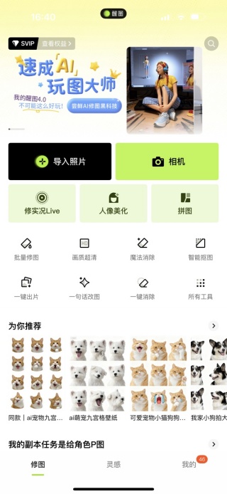 ͼˮӡֻ