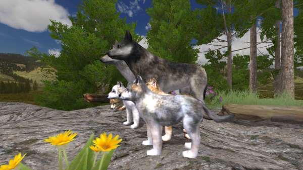 WolfQuestİ